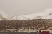 
DSC00101
